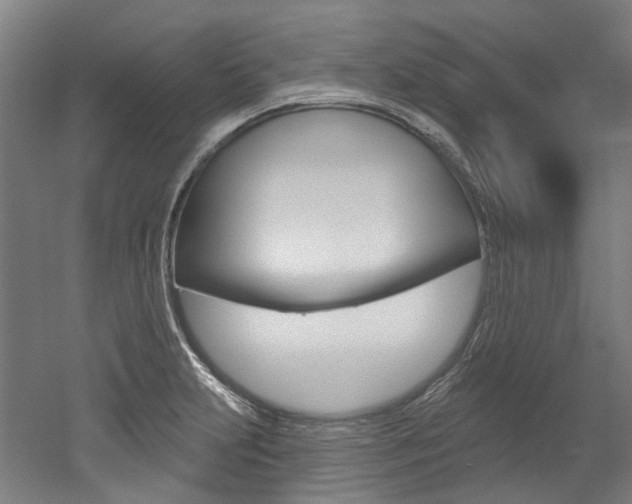 X0000052591231200507010931