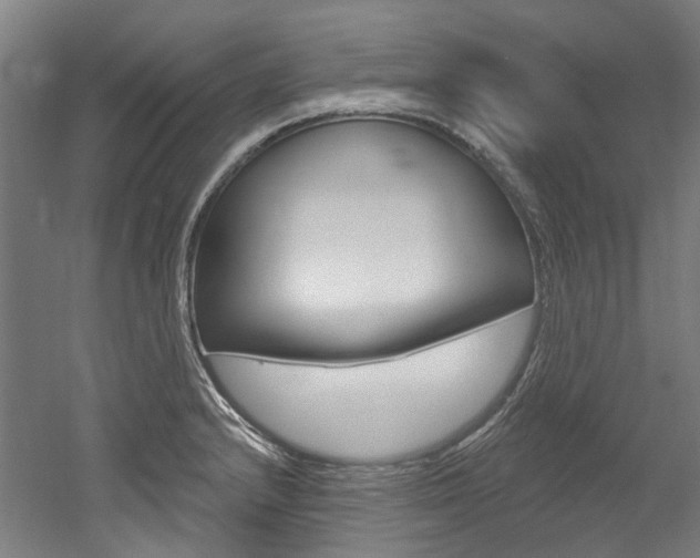 X0000052591232200507010931