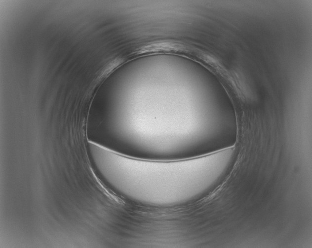 X0000052591233200507010931
