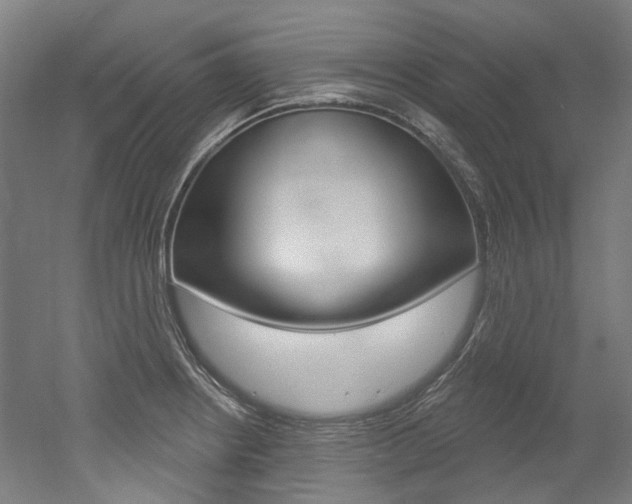 X0000052591234200507010931