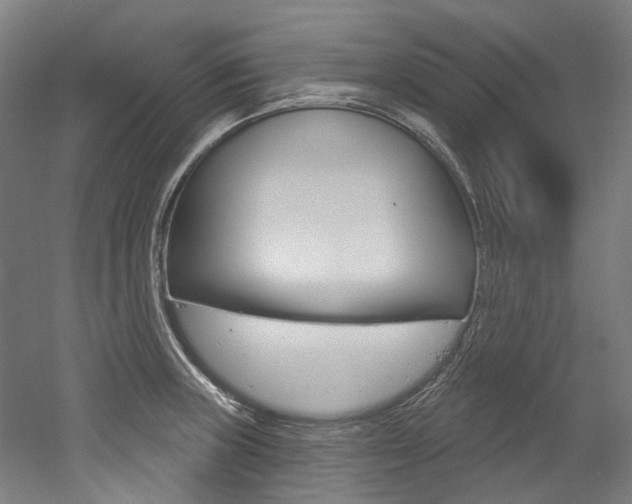 X0000052591235200507010931