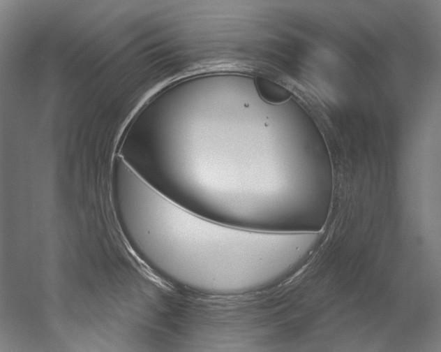 X0000052591236200507010931