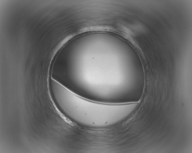 X0000052591237200507010931