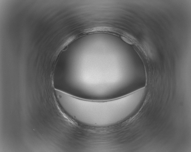 X0000052591241200507010931