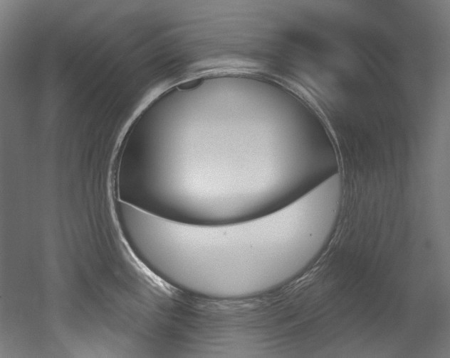 X0000052591243200507010931