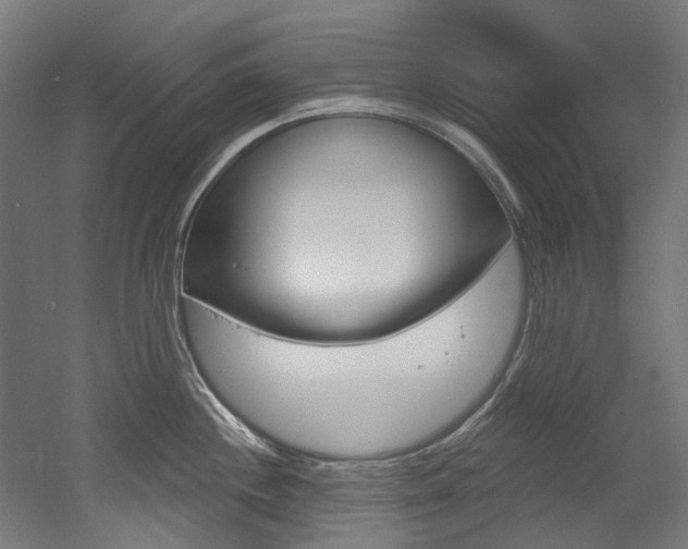 X0000052591244200507010931