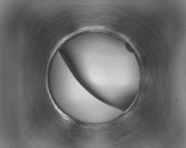 X0000052591245200507010931