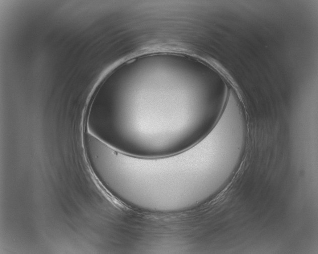 X0000052591246200507010931