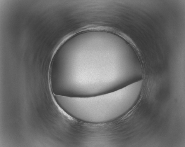 X0000052591247200507010931