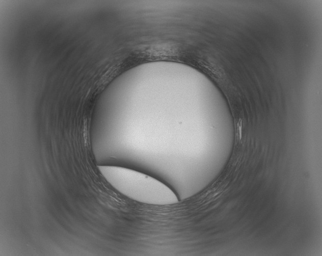X0000052591251200507010930