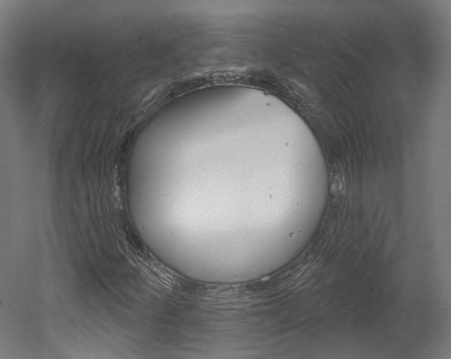 X0000052591252200507010930