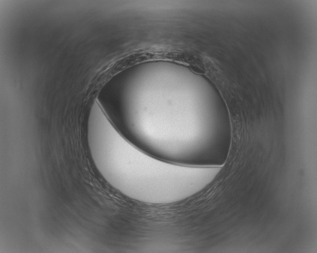 X0000052591253200507010930