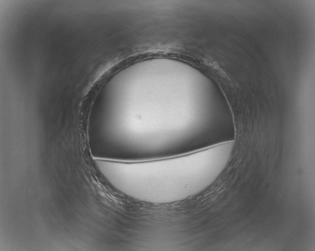 X0000052591256200507010930