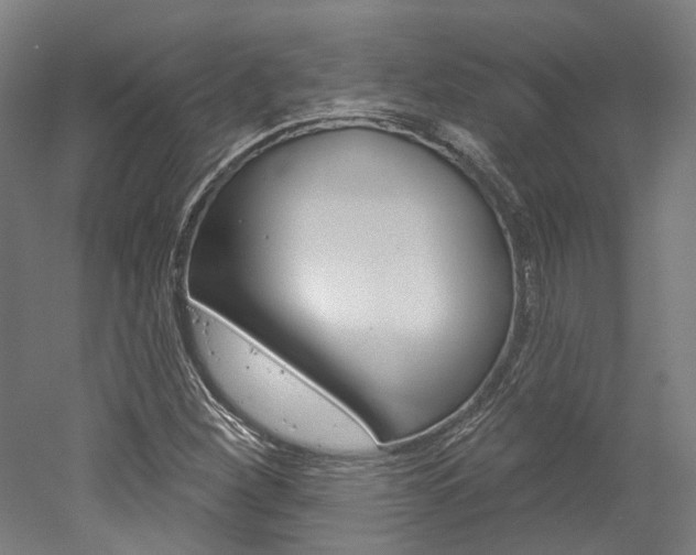 X0000052591260200507010930