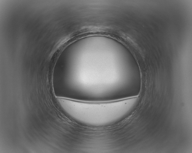X0000052591261200507010930