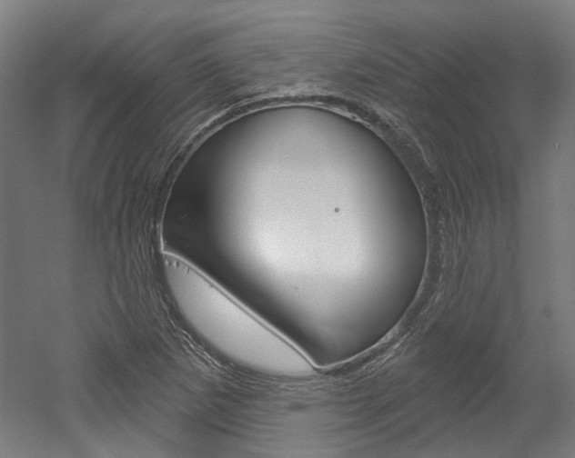 X0000052591265200507010930