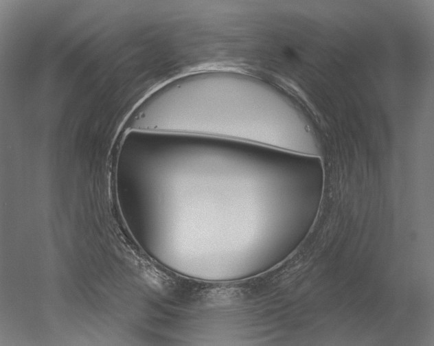 X0000052591268200507010930