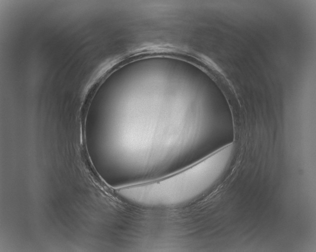 X0000052591269200507010930