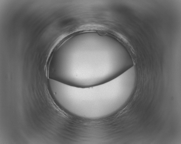 X0000052591275200507010930