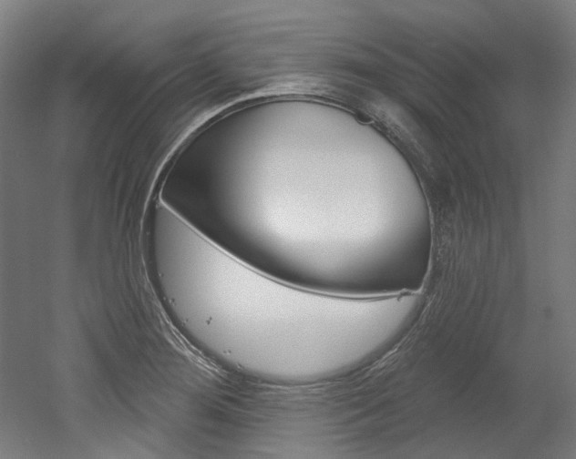 X0000052591276200507010930