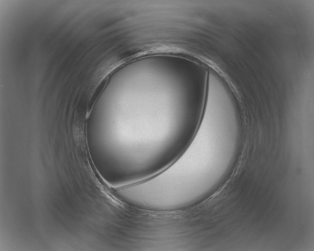X0000052591281200507010930