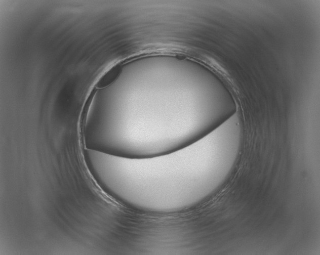 X0000052591283200507010930