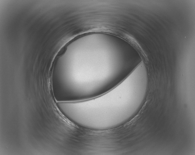 X0000052591284200507010930