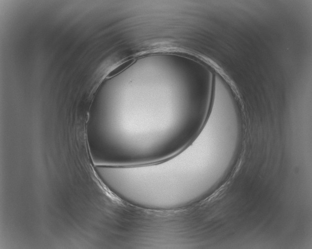 X0000052591289200507010930