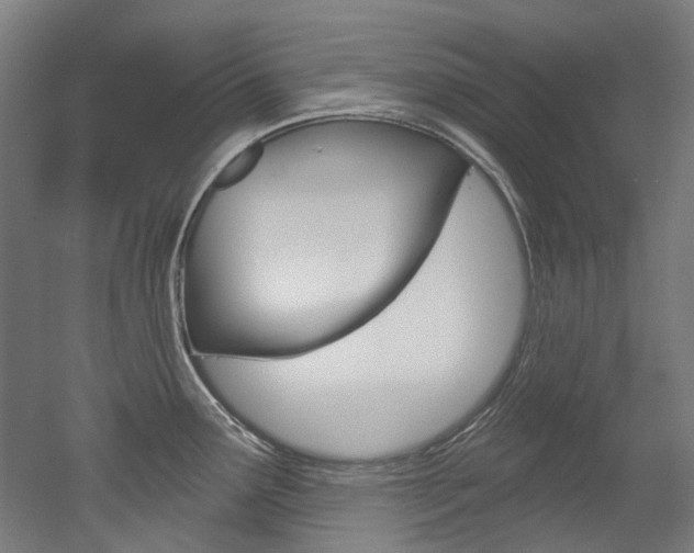 X0000052591291200507010930