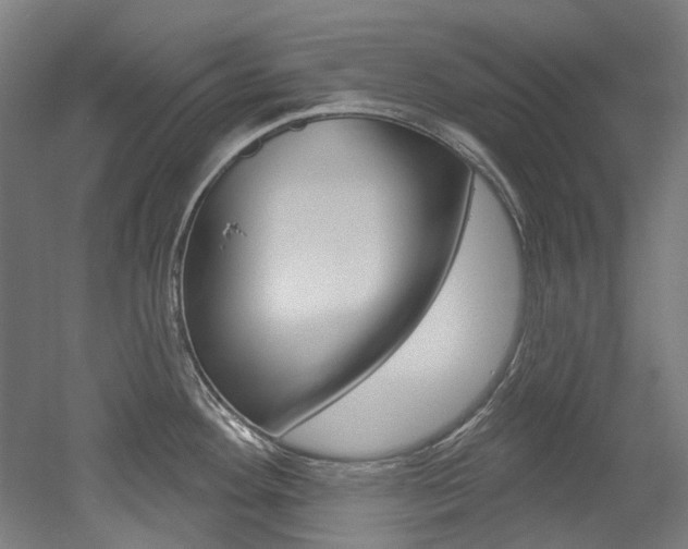 X0000052591292200507010930