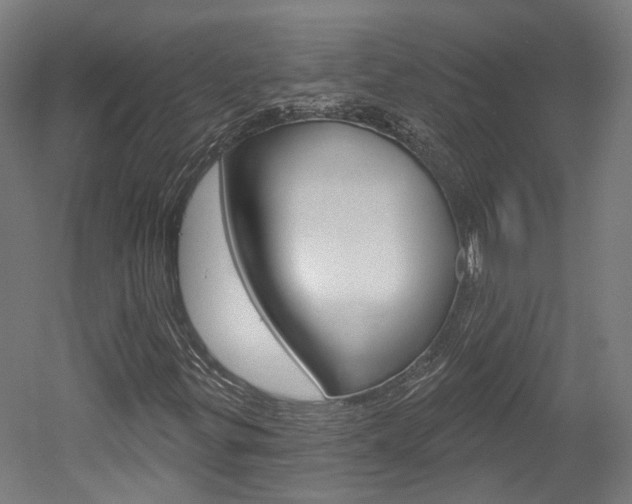 X0000052591299200507010929