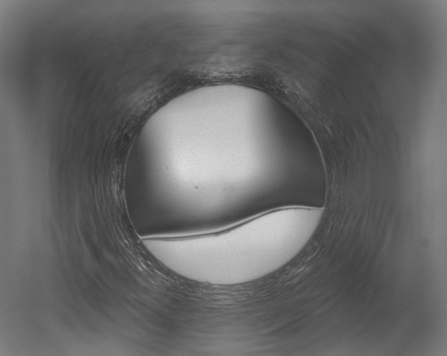 X0000052591300200507010929