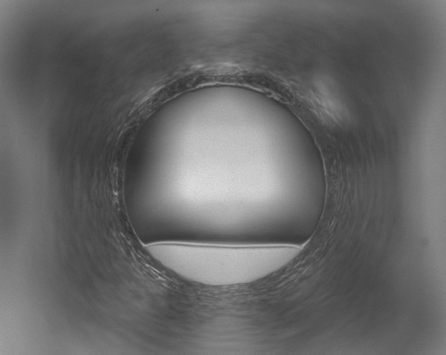 X0000052591301200507010929