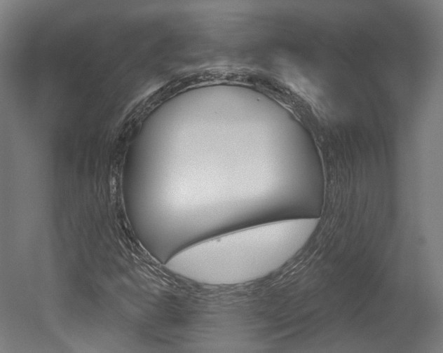 X0000052591302200507010929