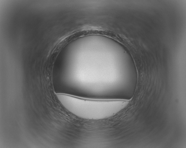 X0000052591303200507010929