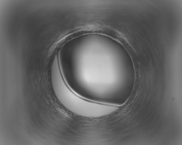 X0000052591304200507010929