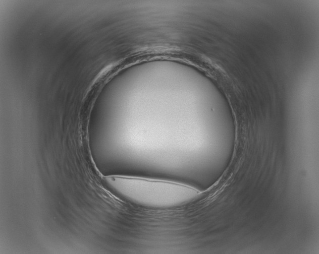 X0000052591306200507010929