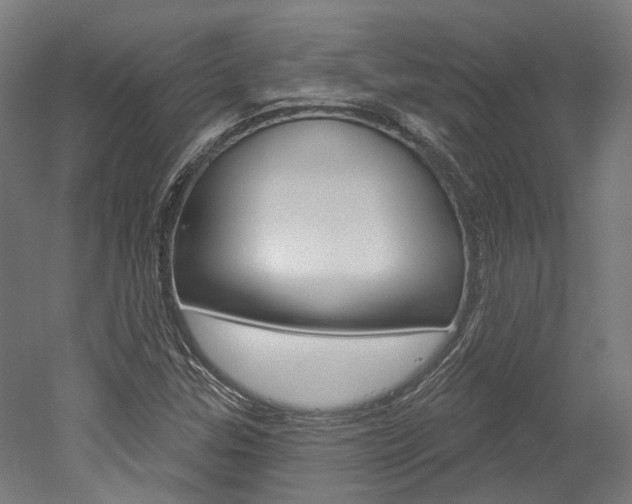 X0000052591307200507010929