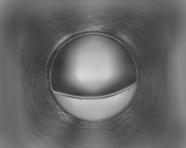 X0000052591308200507010929