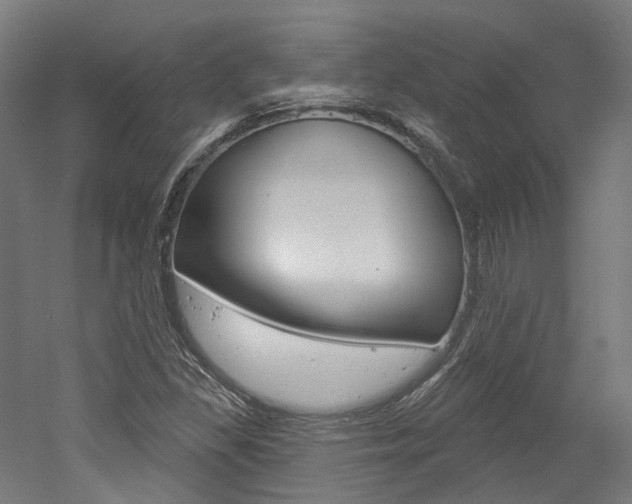 X0000052591309200507010929