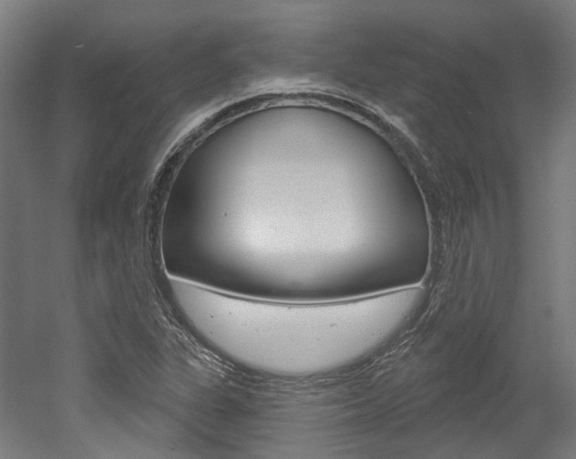 X0000052591311200507010929