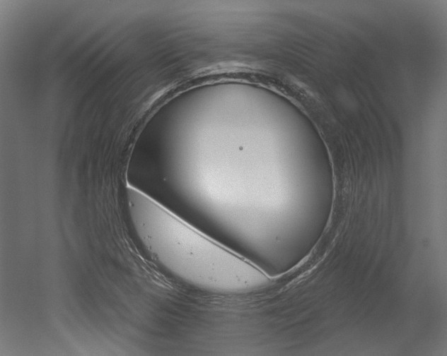 X0000052591313200507010929