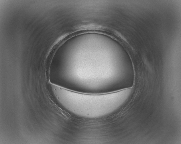 X0000052591315200507010929