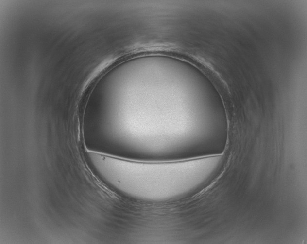 X0000052591317200507010929