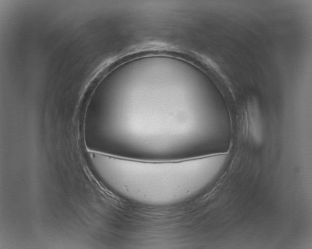 X0000052591318200507010929