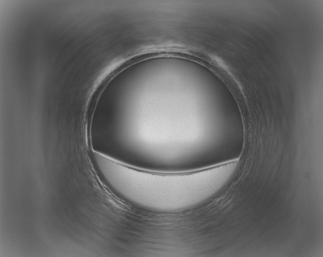 X0000052591320200507010929