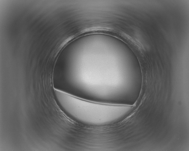 X0000052591321200507010929
