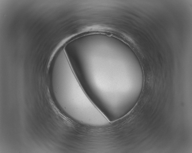 X0000052591323200507010929