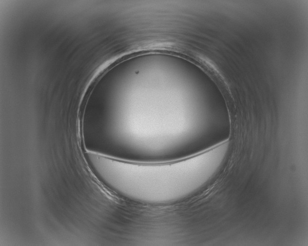 X0000052591324200507010929