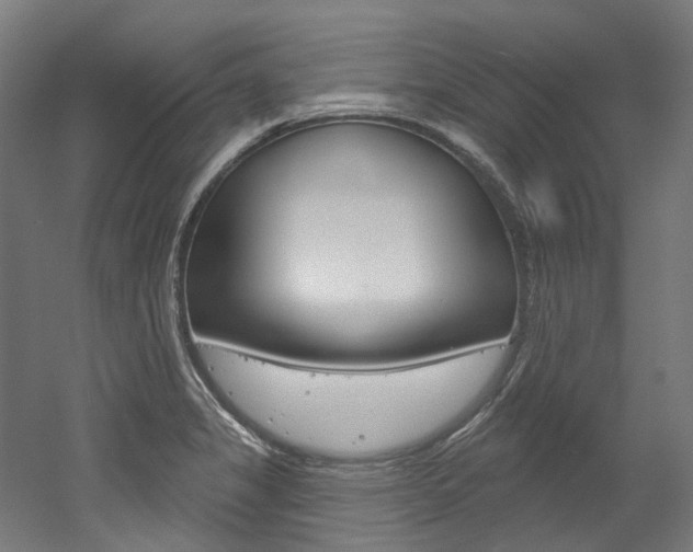 X0000052591325200507010929